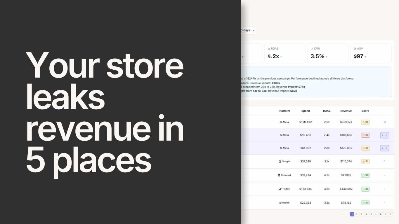 Your store leaks revenue in 5 places: Flowganise dashboard showing campaign performance with revenue impact quantified in dollars per issue.